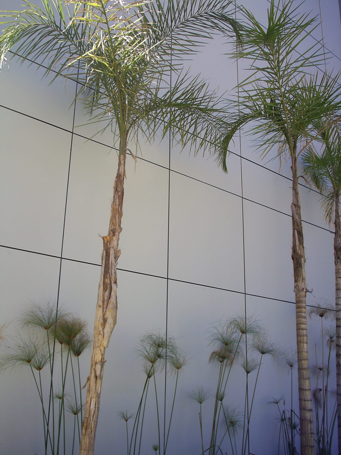 SAMSUNG DIGITAL CAMERA