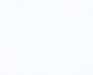 100 – Ultra Branco